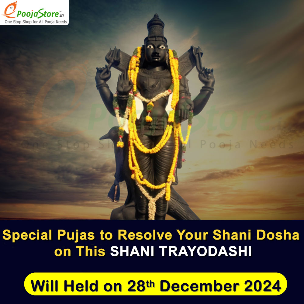 Shani Trayodashi Special Shani Dosha Pujas and Masa Shivaratri Special Rudrabhishekam