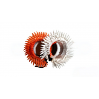 Hair Accessories-1