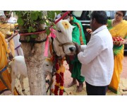 Sri Rudra Sahitha Shata Chandi Yagam Day - 1