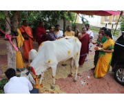 Sri Rudra Sahitha Shata Chandi Yagam Day - 1