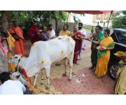 Sri Rudra Sahitha Shata Chandi Yagam Day - 1