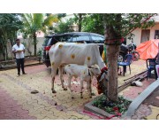 Sri Rudra Sahitha Shata Chandi Yagam Day - 1