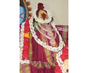 Sri Rudra Sahitha Shata Chandi Yagam Day - 5