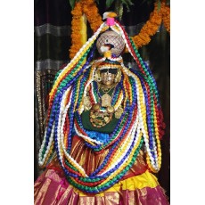  Tiruchanur Pavitrotsavam  :  